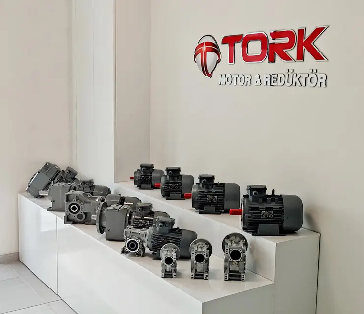 Tork Motor& Redüktör
